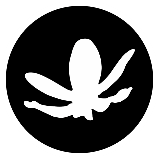 DSLN logo circular
